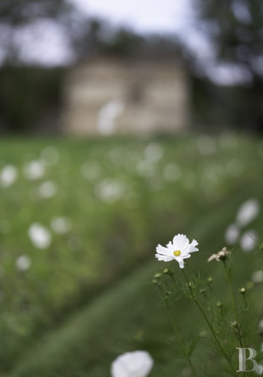 En Mayenne, au sud de Laval, un ancien établissement de blanchissage dans un domaine de 180 hectares - photo  n°3